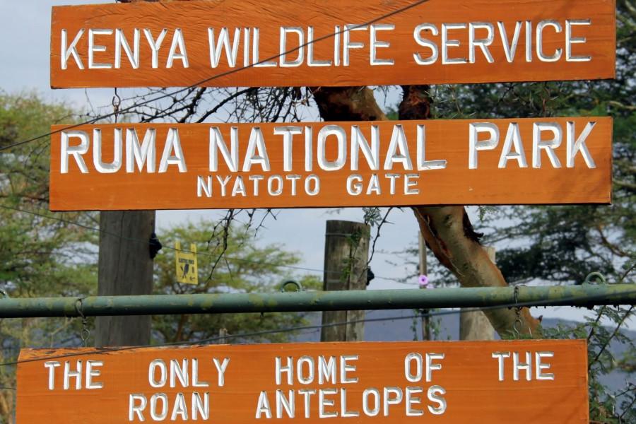 Exploring Homabay: A Hidden Gem of Kenya's Natural Beauty